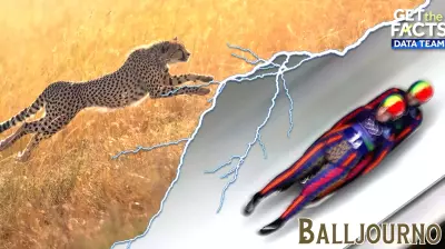 Olympic athletes are pretty fast, but are they faster than a cheetah?